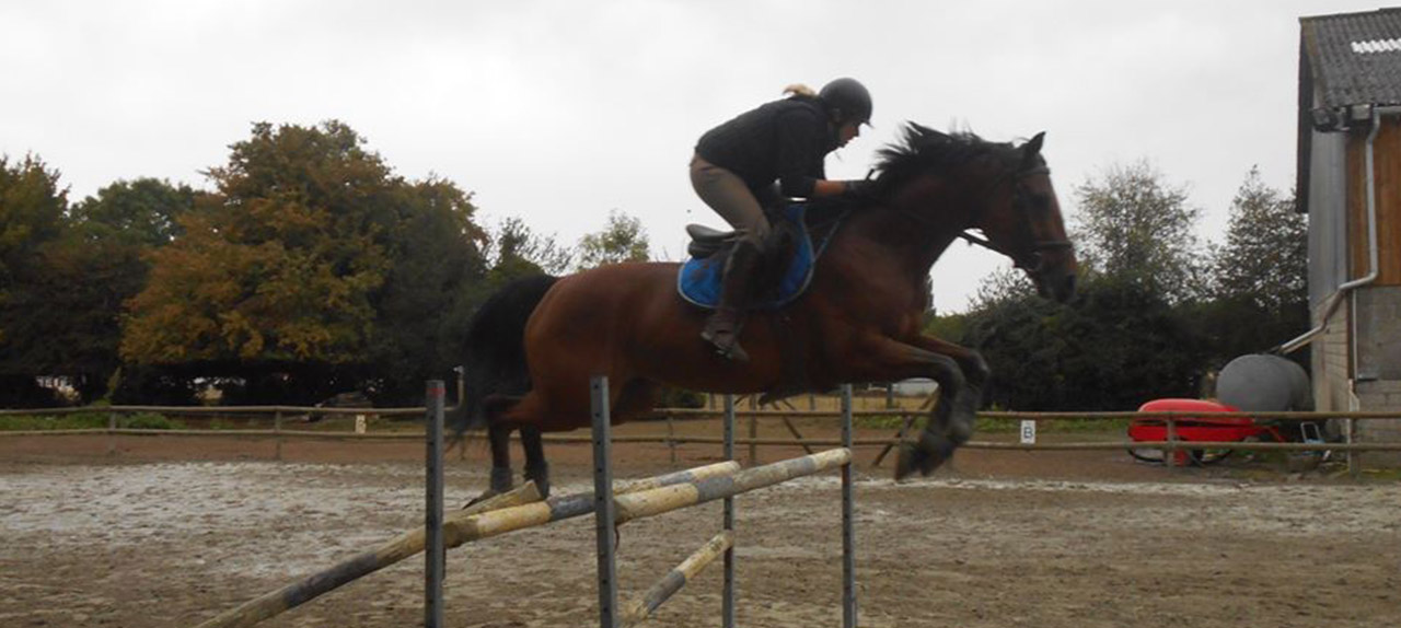 Cours equitation Abbeville